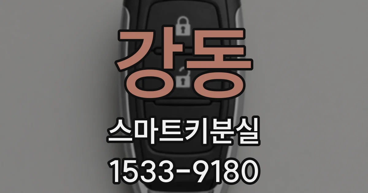 강동 스마트키분실
