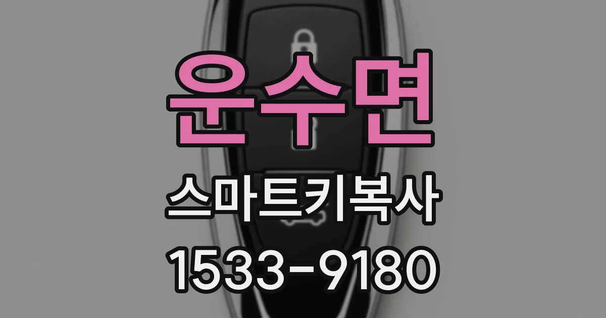 운수면 스마트키복사