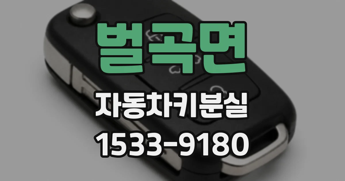 벌곡면 자동차키분실