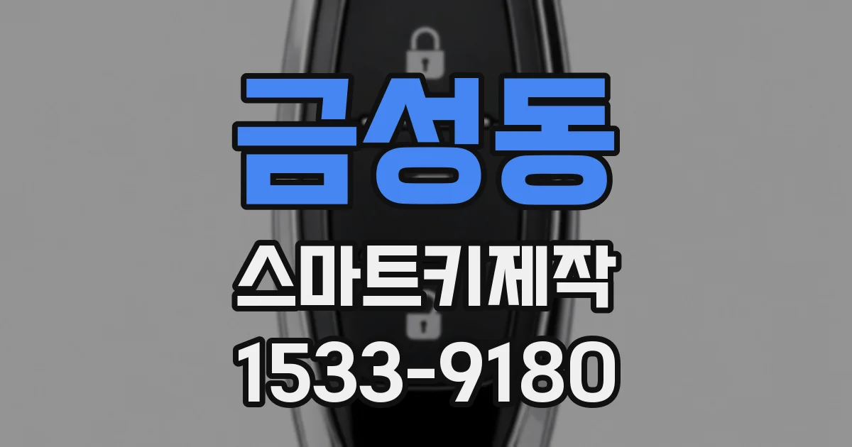 금성동 스마트키제작