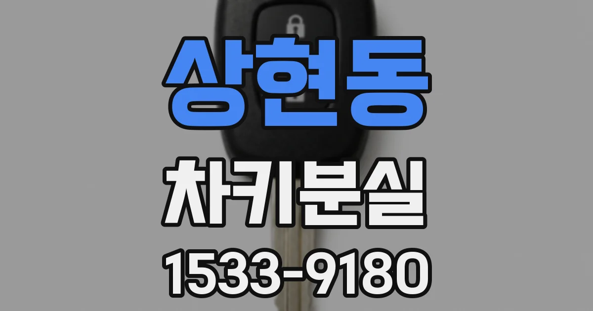 상현동 차키분실