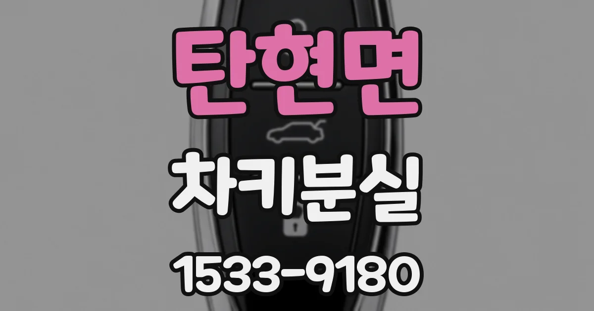 탄현면 차키분실