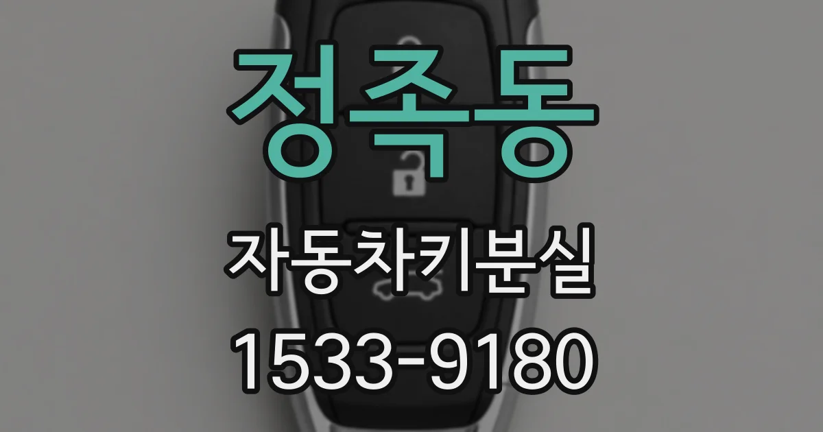 정족동 자동차키분실