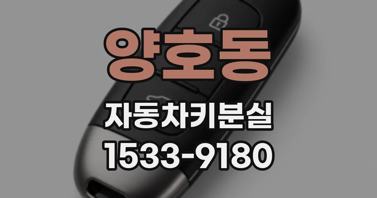 양호동 자동차키분실