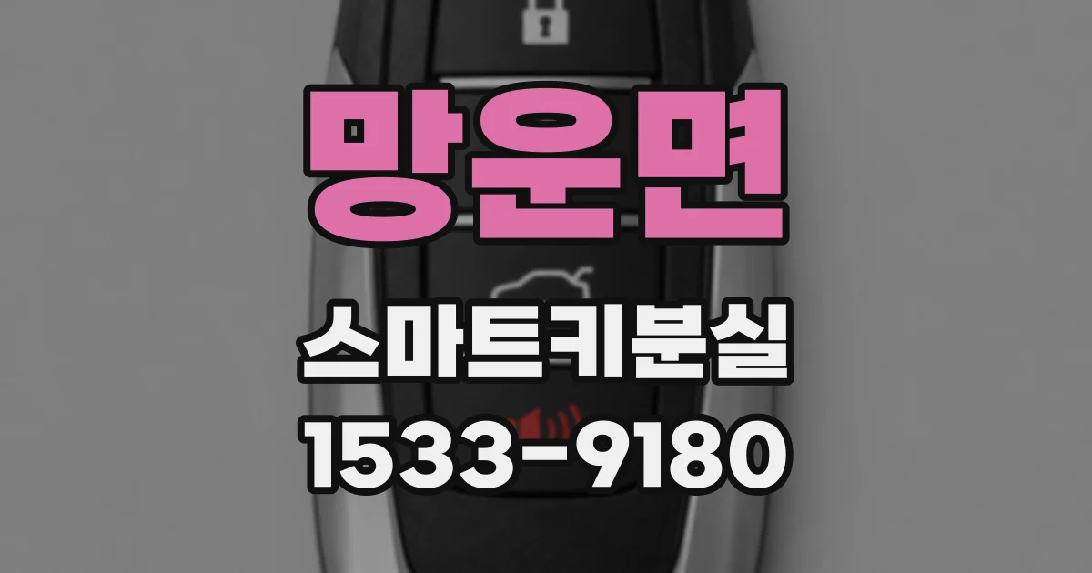 망운면 스마트키분실