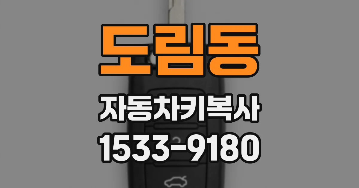 도림동 자동차키복사