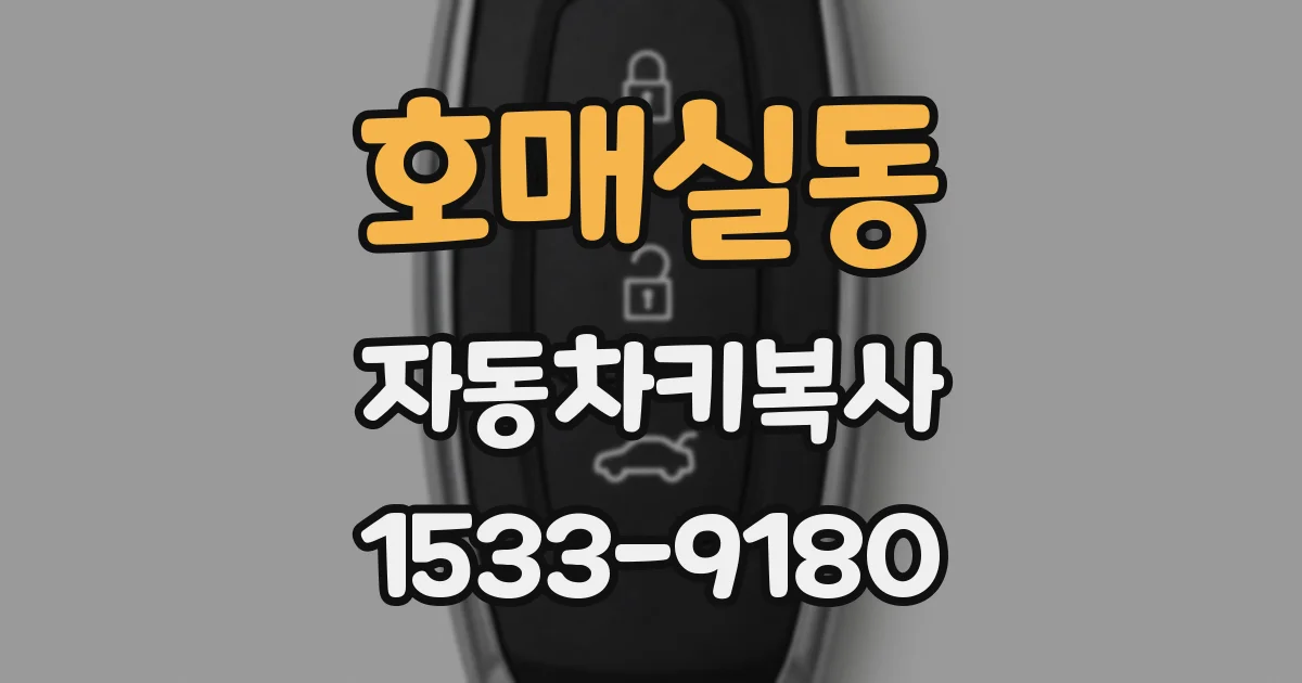 호매실동 자동차키복사