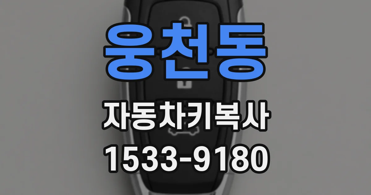 웅천동 자동차키복사