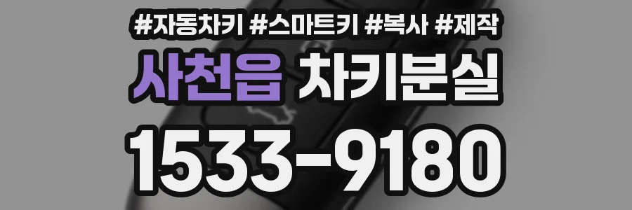 사천읍 차키분실