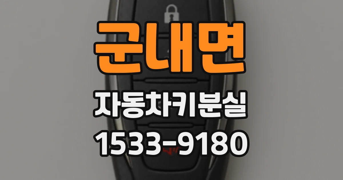군내면 자동차키분실