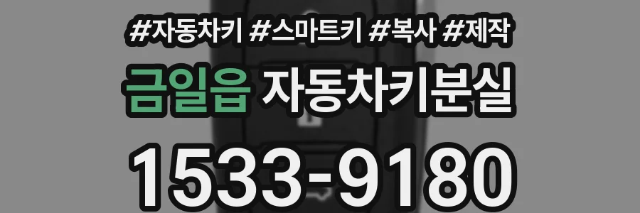 금일읍 자동차키분실