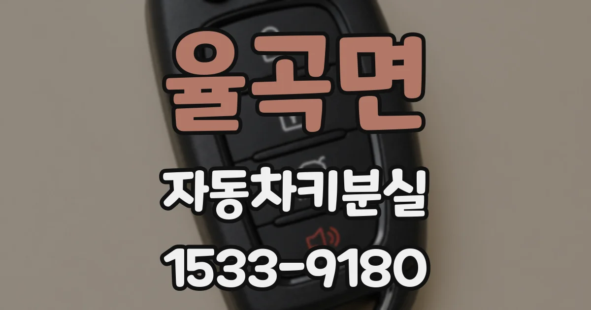 율곡면 자동차키분실