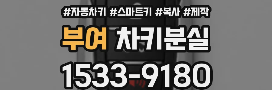 부여 차키분실
