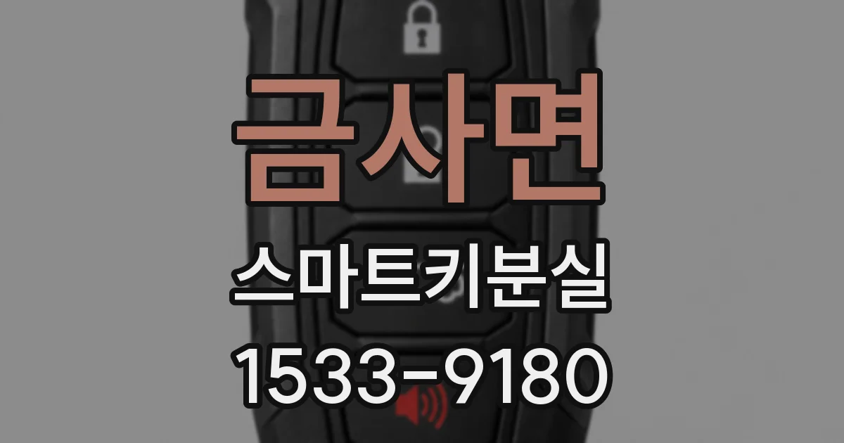 금사면 스마트키분실