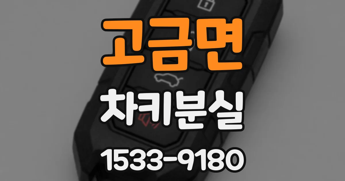 고금면 차키분실