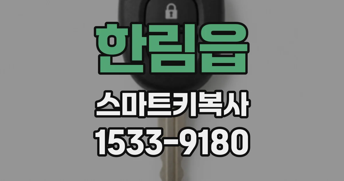 한림읍 스마트키복사