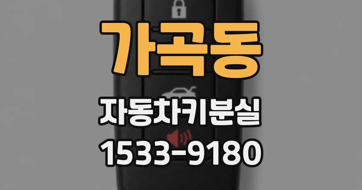 가곡동 자동차키분실
