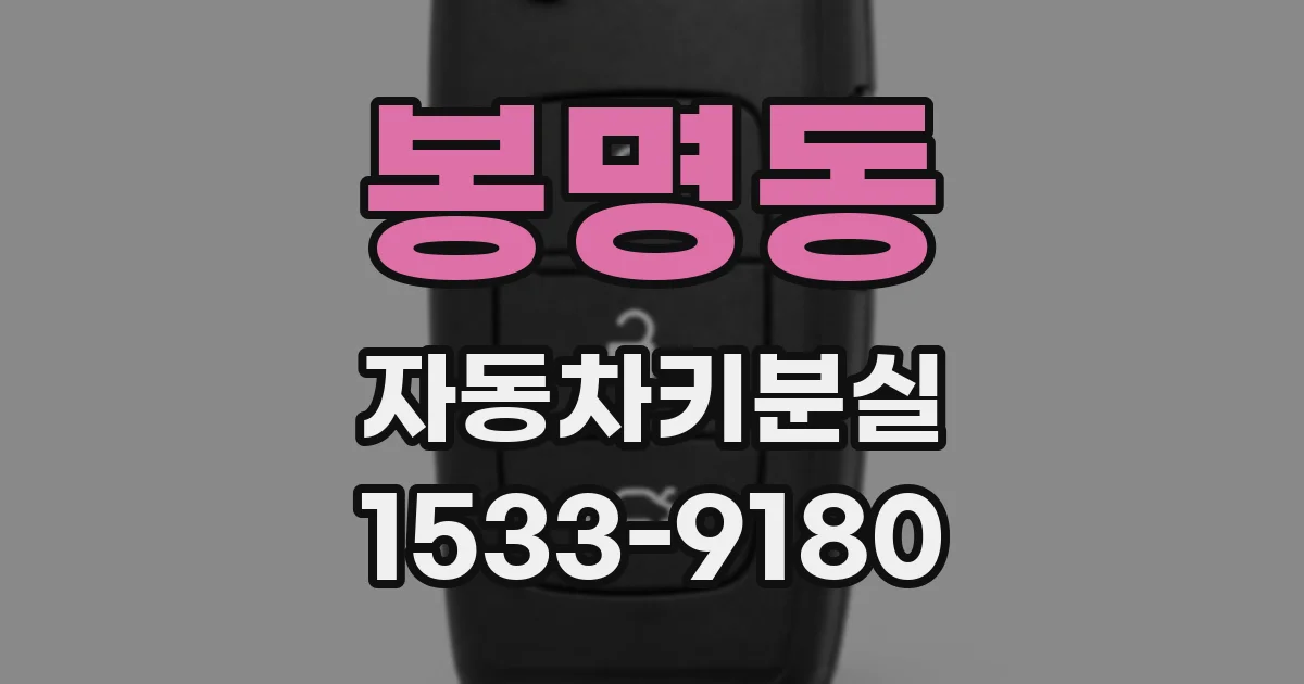 봉명동 자동차키분실
