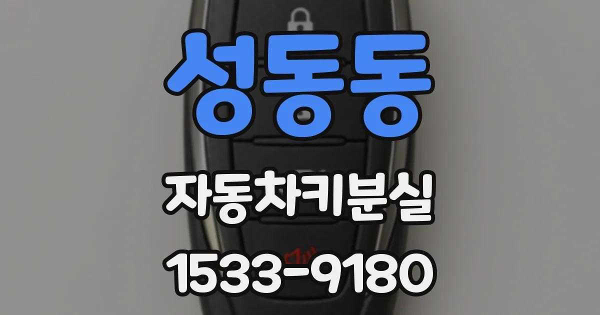 성동동 자동차키분실