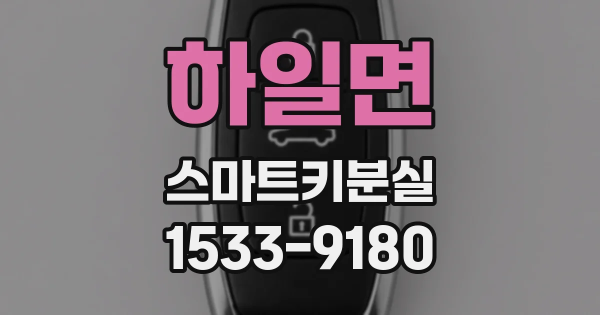 하일면 스마트키분실