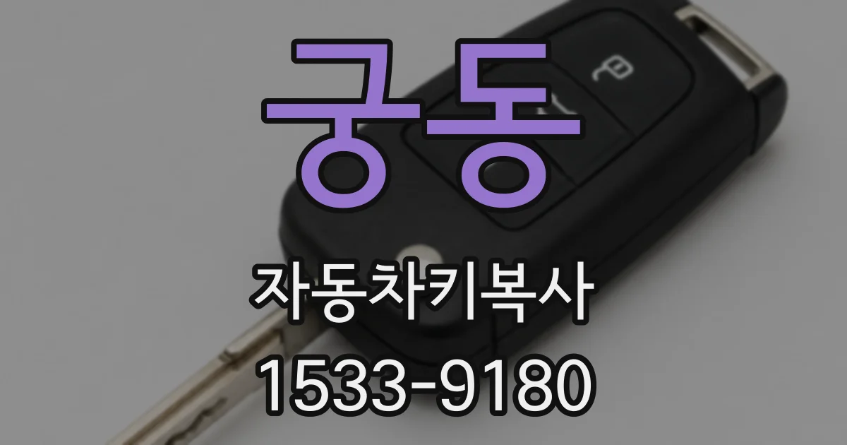 궁동 자동차키복사