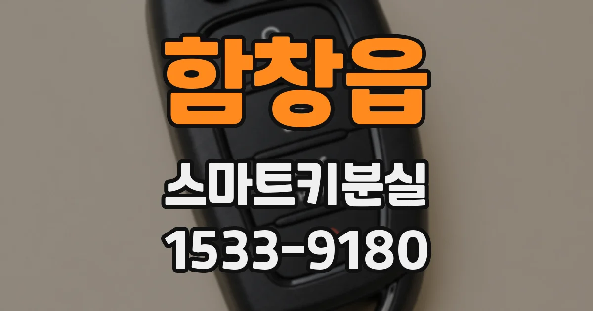 함창읍 스마트키분실