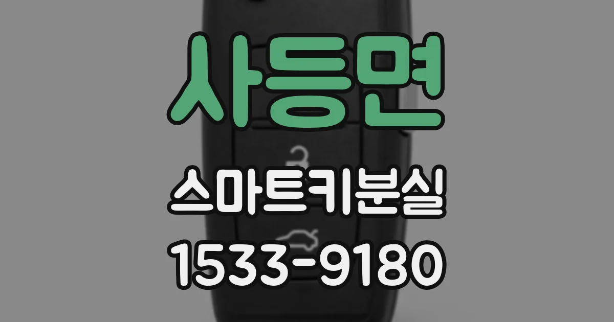 사등면 스마트키분실