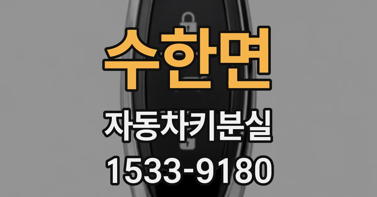 수한면 자동차키분실