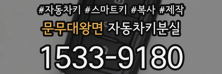 문무대왕면 자동차키분실