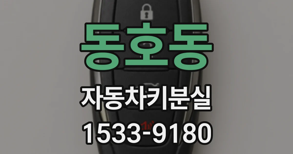 동호동 자동차키분실