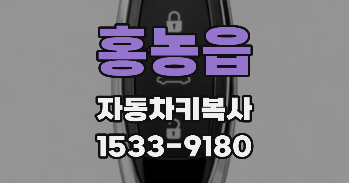 홍농읍 자동차키복사