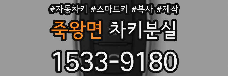 죽왕면 차키분실