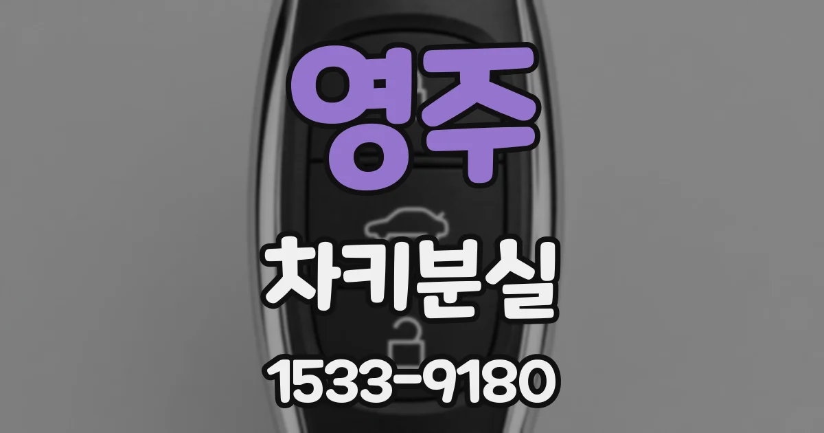 영주 차키분실