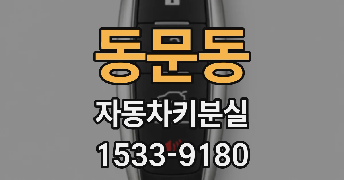 동문동 자동차키분실