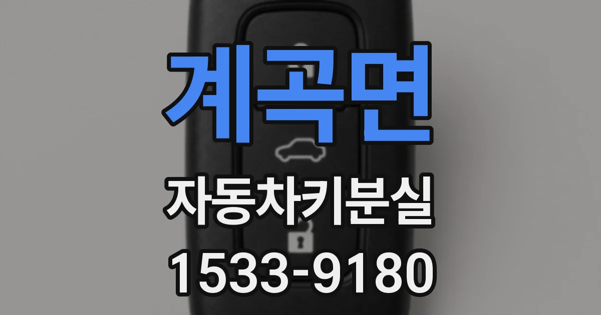 계곡면 자동차키분실