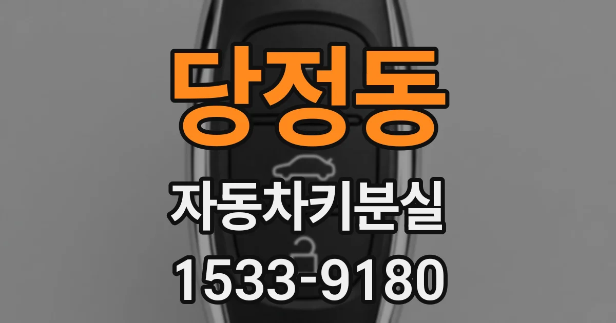 당정동 자동차키분실