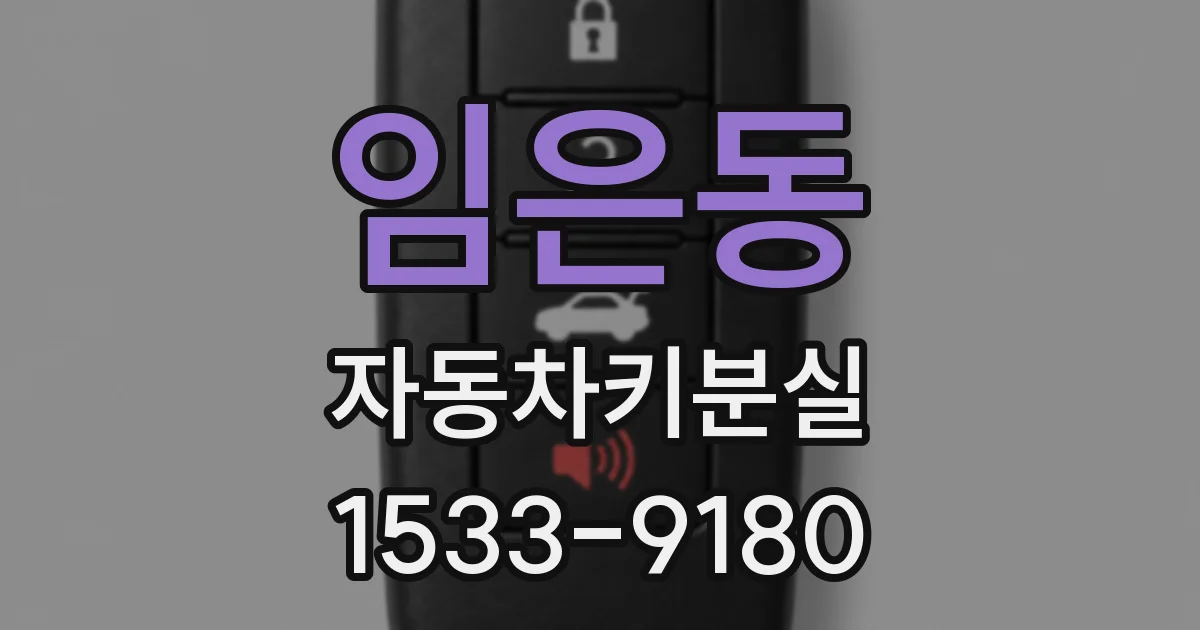 임은동 자동차키분실