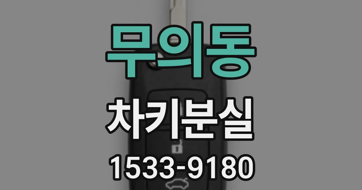 무의동 차키분실