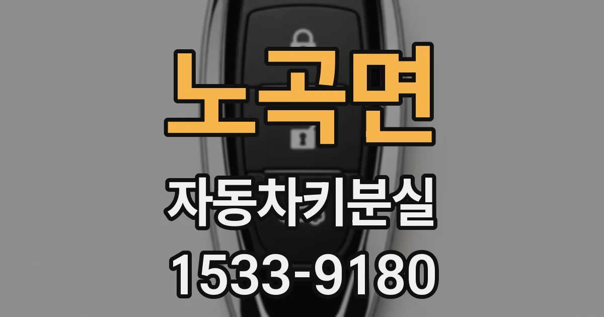 노곡면 자동차키분실