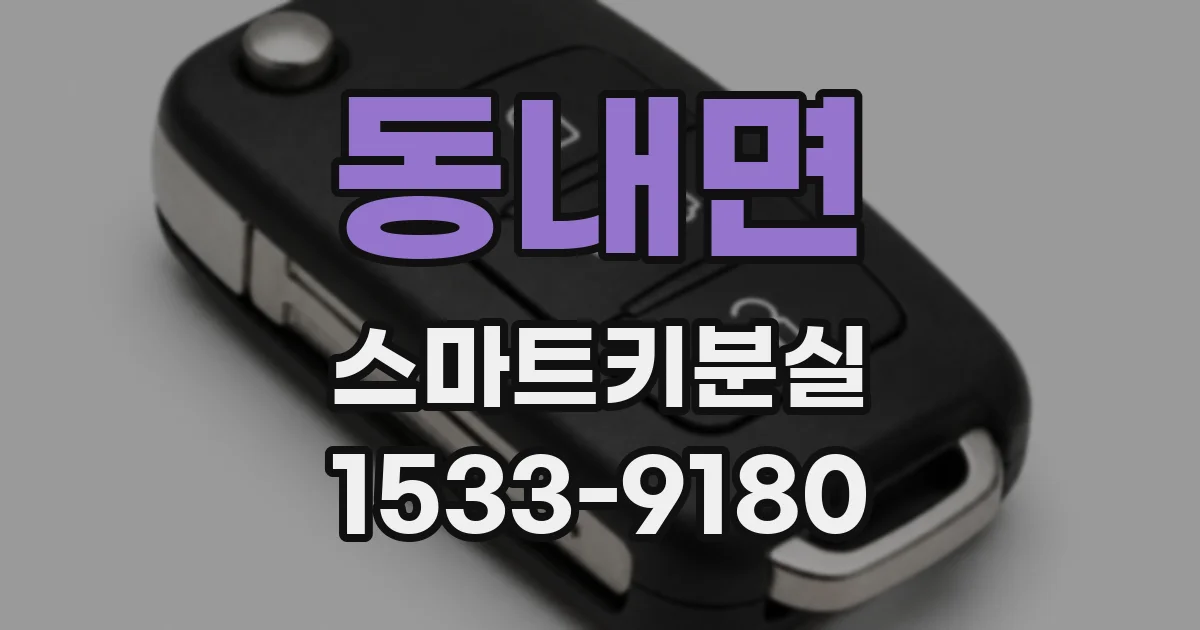 동내면 스마트키분실