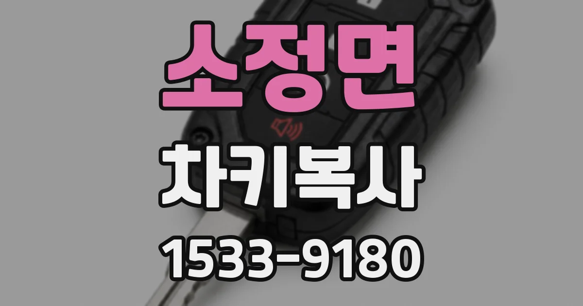 소정면 차키복사