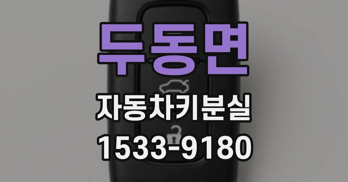 두동면 자동차키분실
