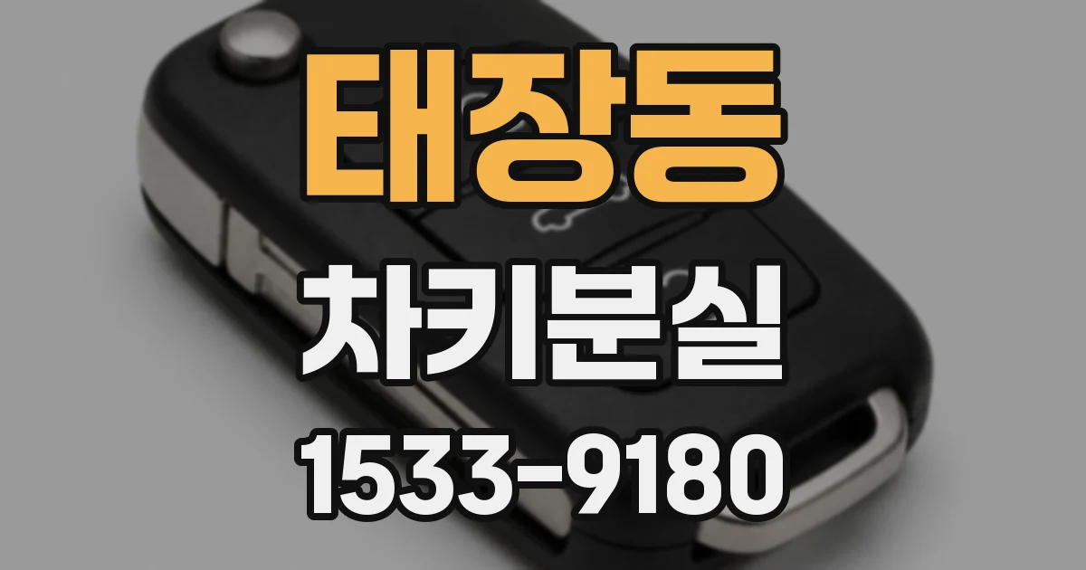 태장동 차키분실