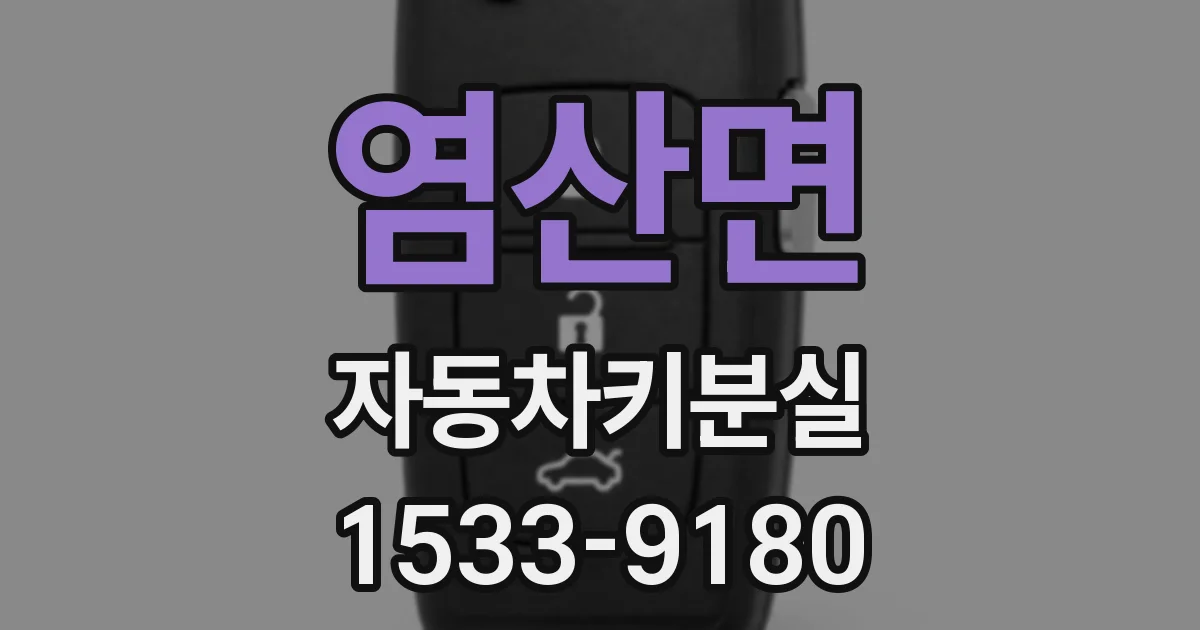 염산면 자동차키분실