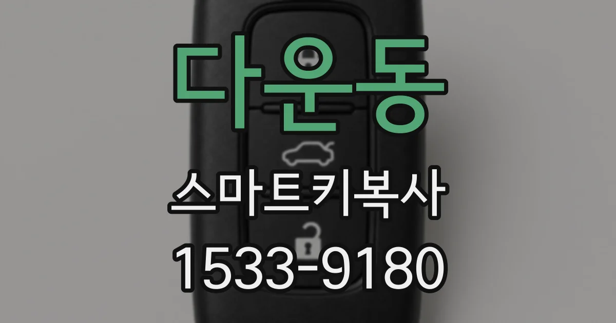 다운동 스마트키복사