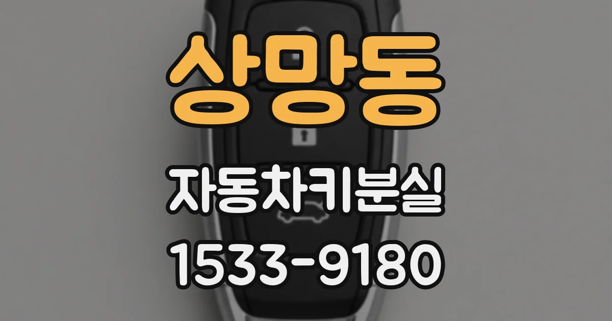 상망동 자동차키분실