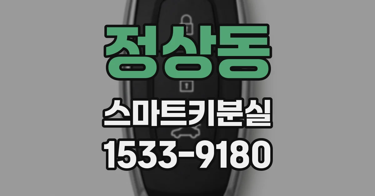 정상동 스마트키분실