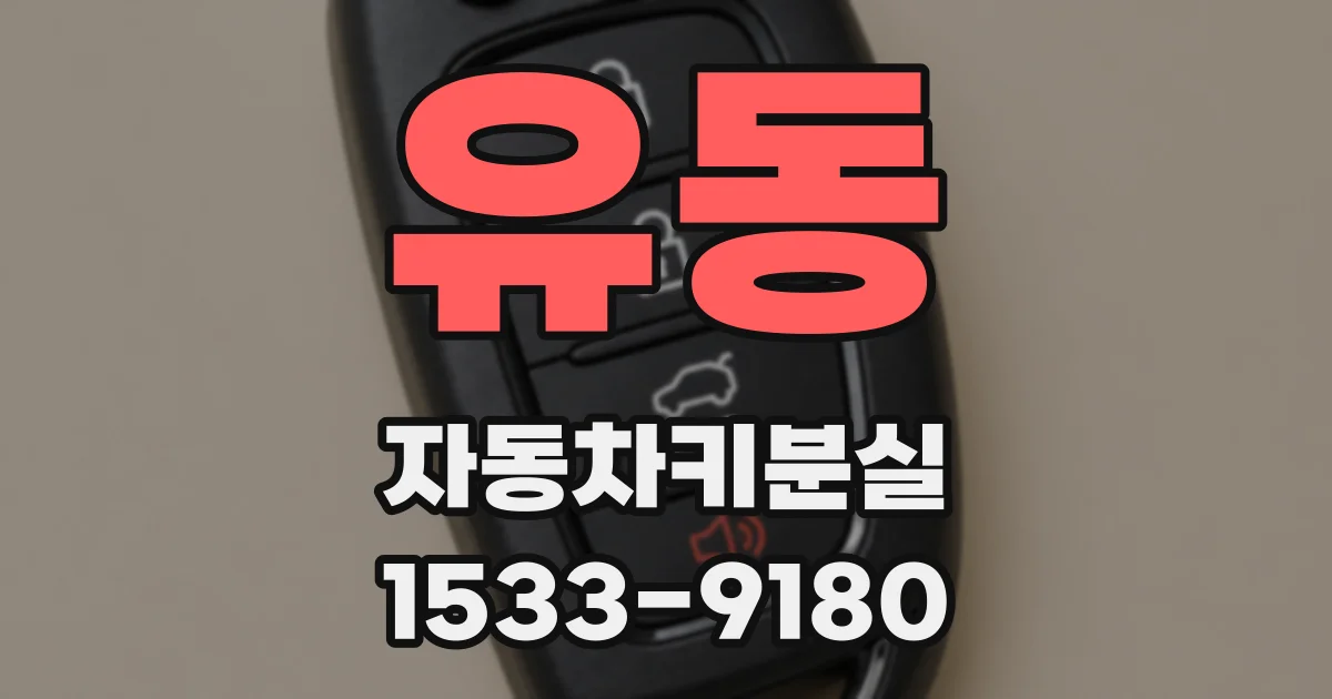 유동 자동차키분실
