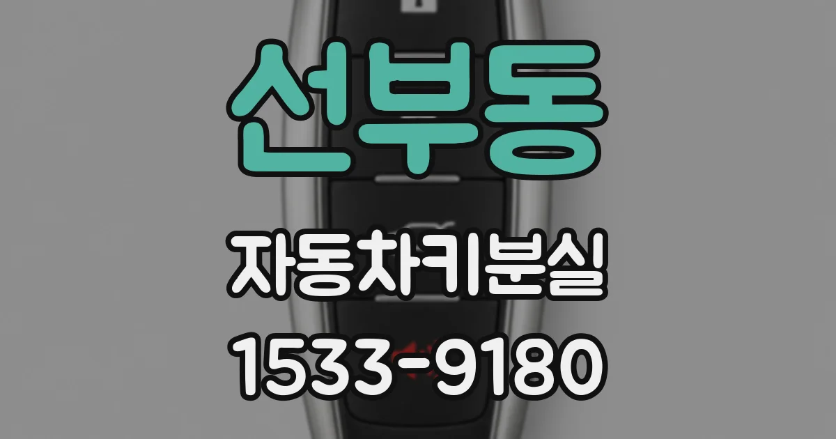 선부동 자동차키분실