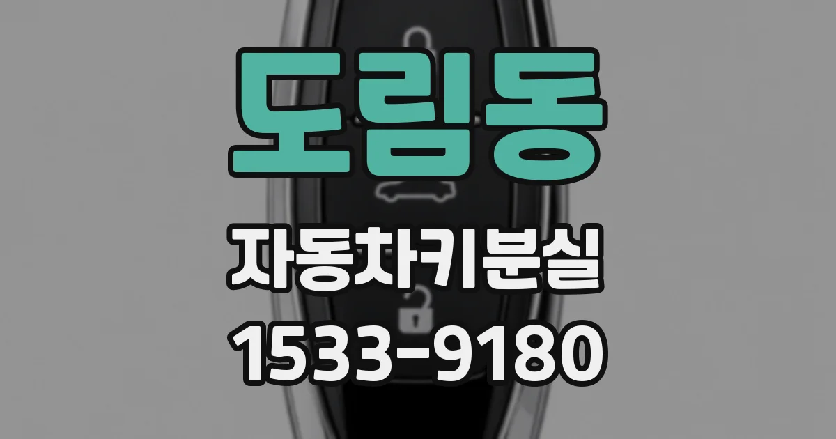 도림동 자동차키분실